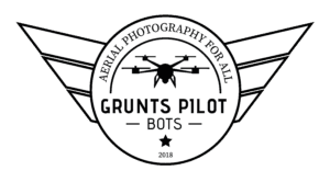 Grunts Pilot Bots Logo